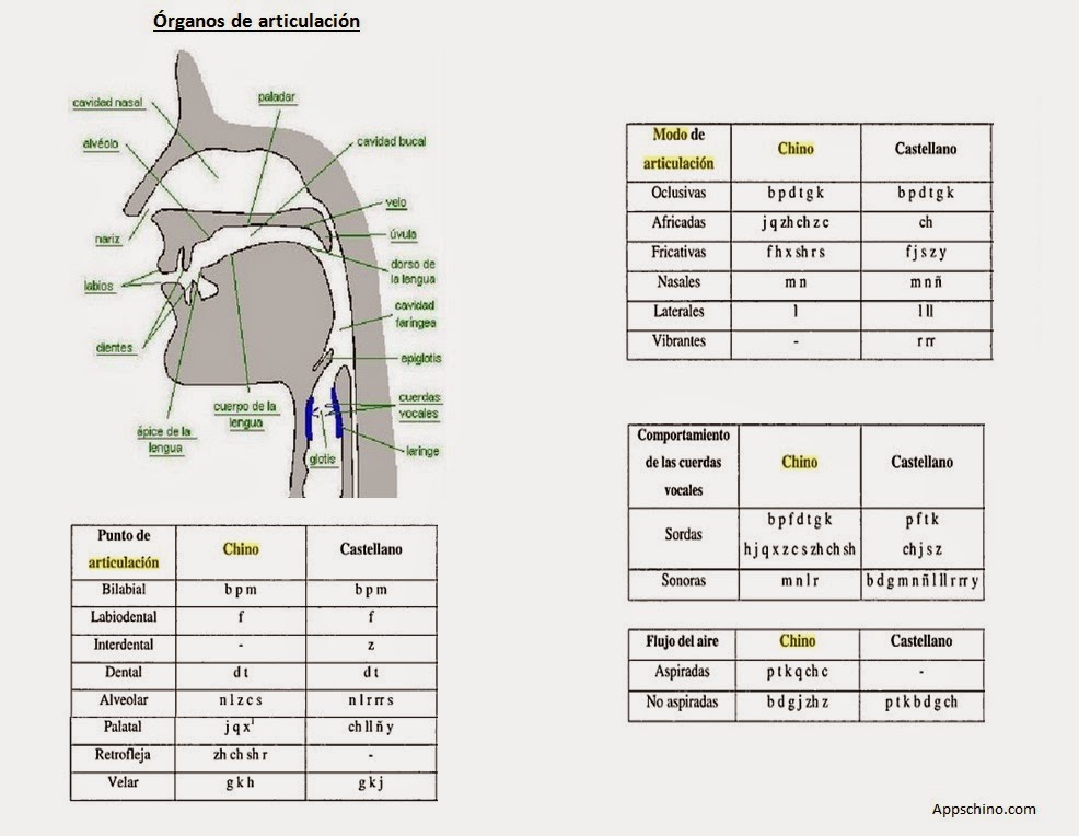 El Dragón Púrpura Fonética china (estándar) para españoles