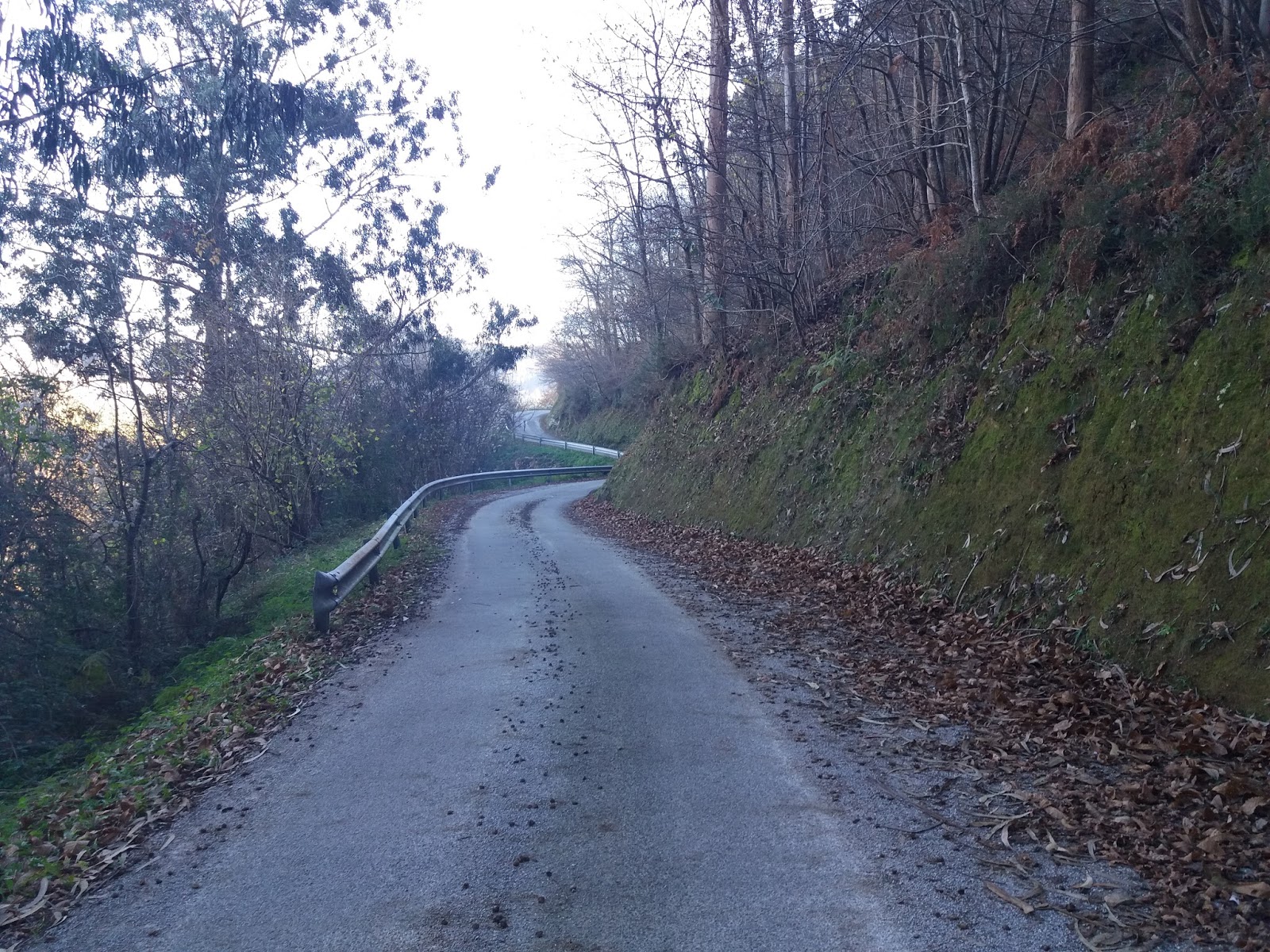 Recorridos Ciclistas Cantabria Sel del Tojo por Alceda