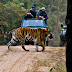 India's Top 6 Places for Wildlife Safari Holidays