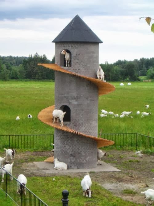 Goat tower shelter