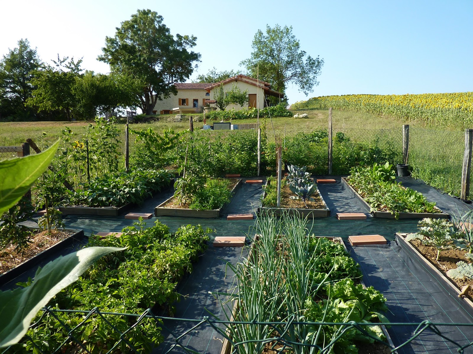 Taule: Een boomgaard, een moestuin en een boske