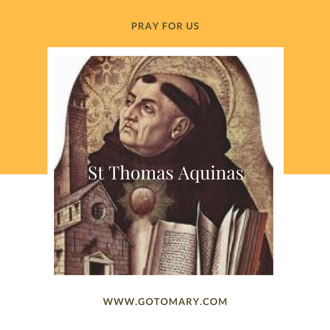 Saint Thomas Aquinas Go to Mary Blog