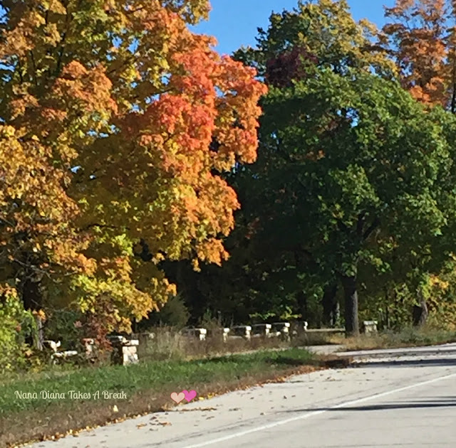 NANA DIANA TAKES A BREAK