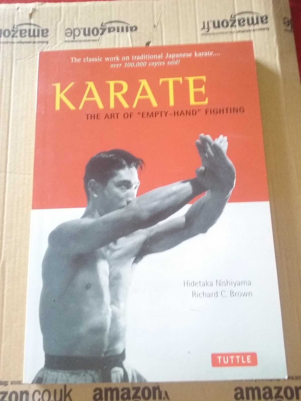 Libro Karate "The art of empty hand fighting" Virtual Ryu Kyu Karate