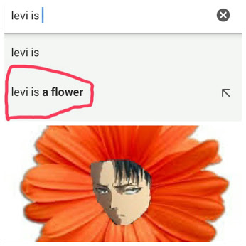 Levi is a flower ?? xD xD.