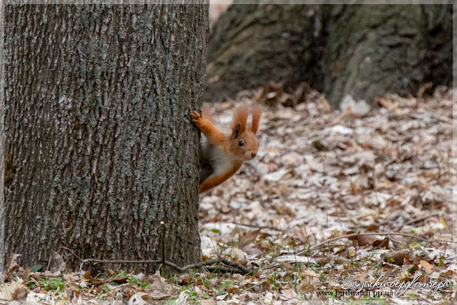 IMG_5692-1.jpg IMG_5692-1.jpg