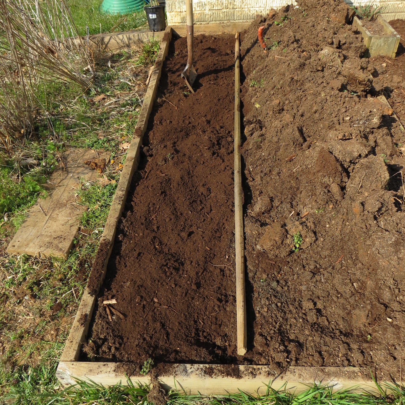 The Rusted Vegetable Garden