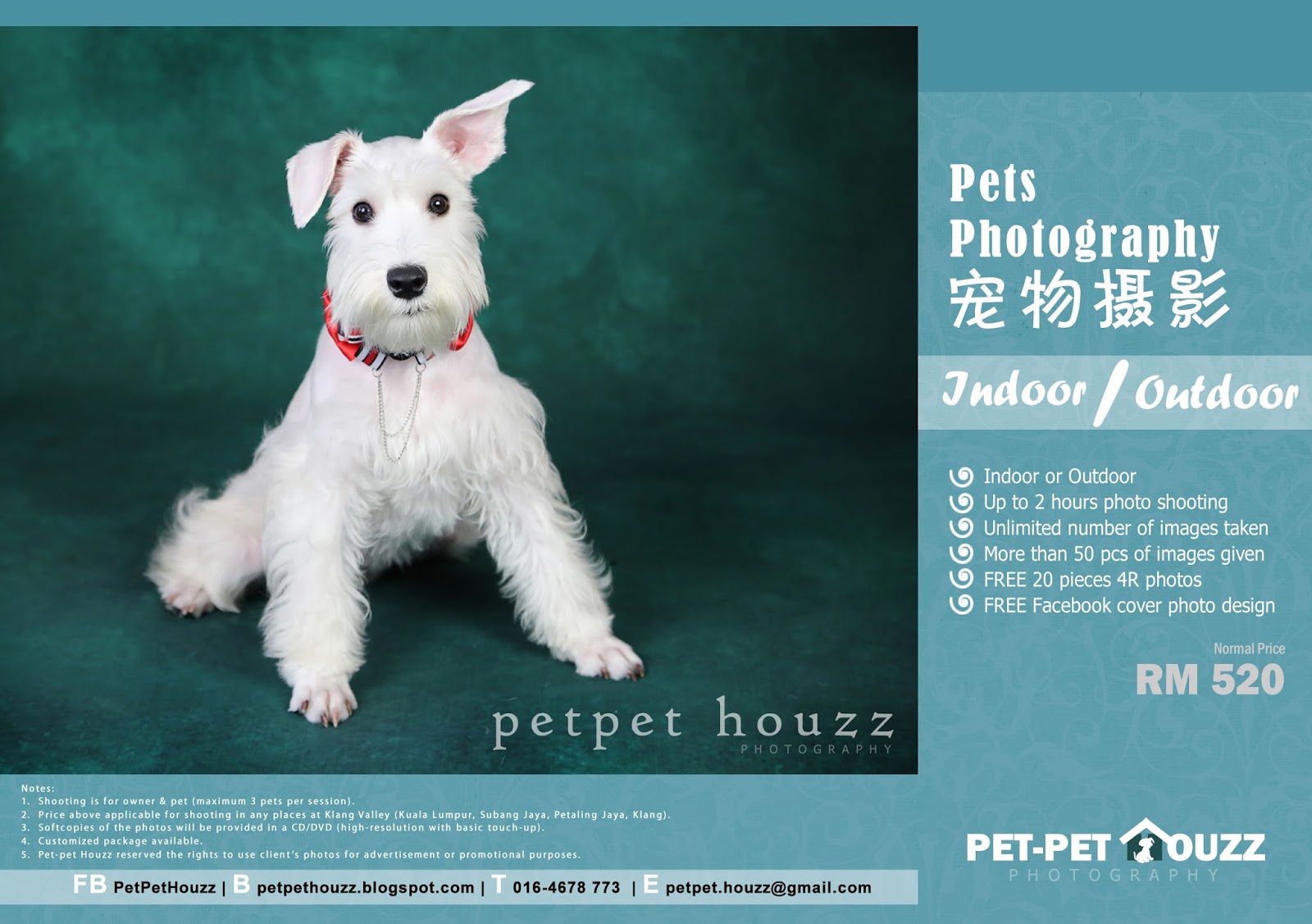 Petpet Houzz PHOTOGRAPHY Packages