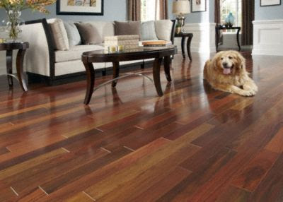 Sàn gỗ óc chó – Sự lựa chọn tốt nhất cho ngôi nhà của bạn1 Sàn gỗ óc chó – Sự lựa chọn tốt nhất cho ngôi nhà của bạn1