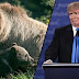 Donald Trump Has Just Made It Legal To Kill Hibernating Bears