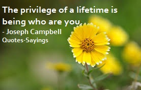 privilege quotes