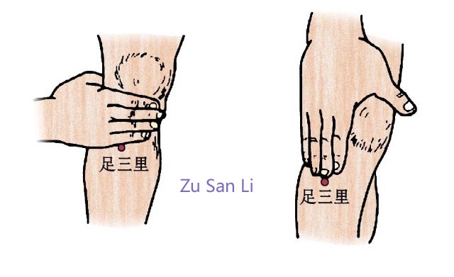 Vitality: Zu San Li – The Point of longevity