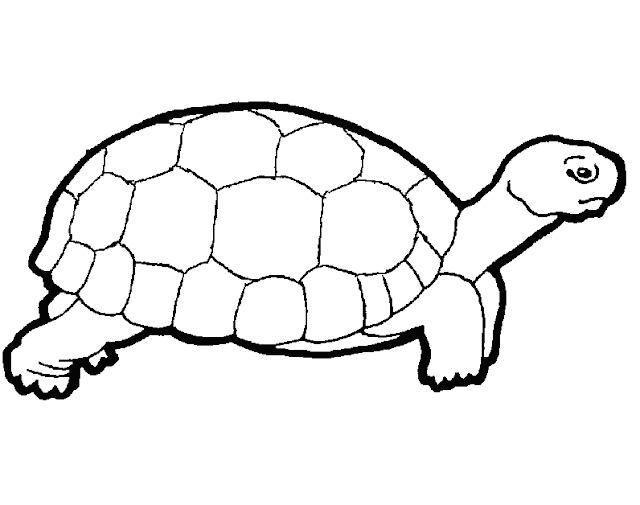 turtle free printable coloring pages holiday.filminspector.com