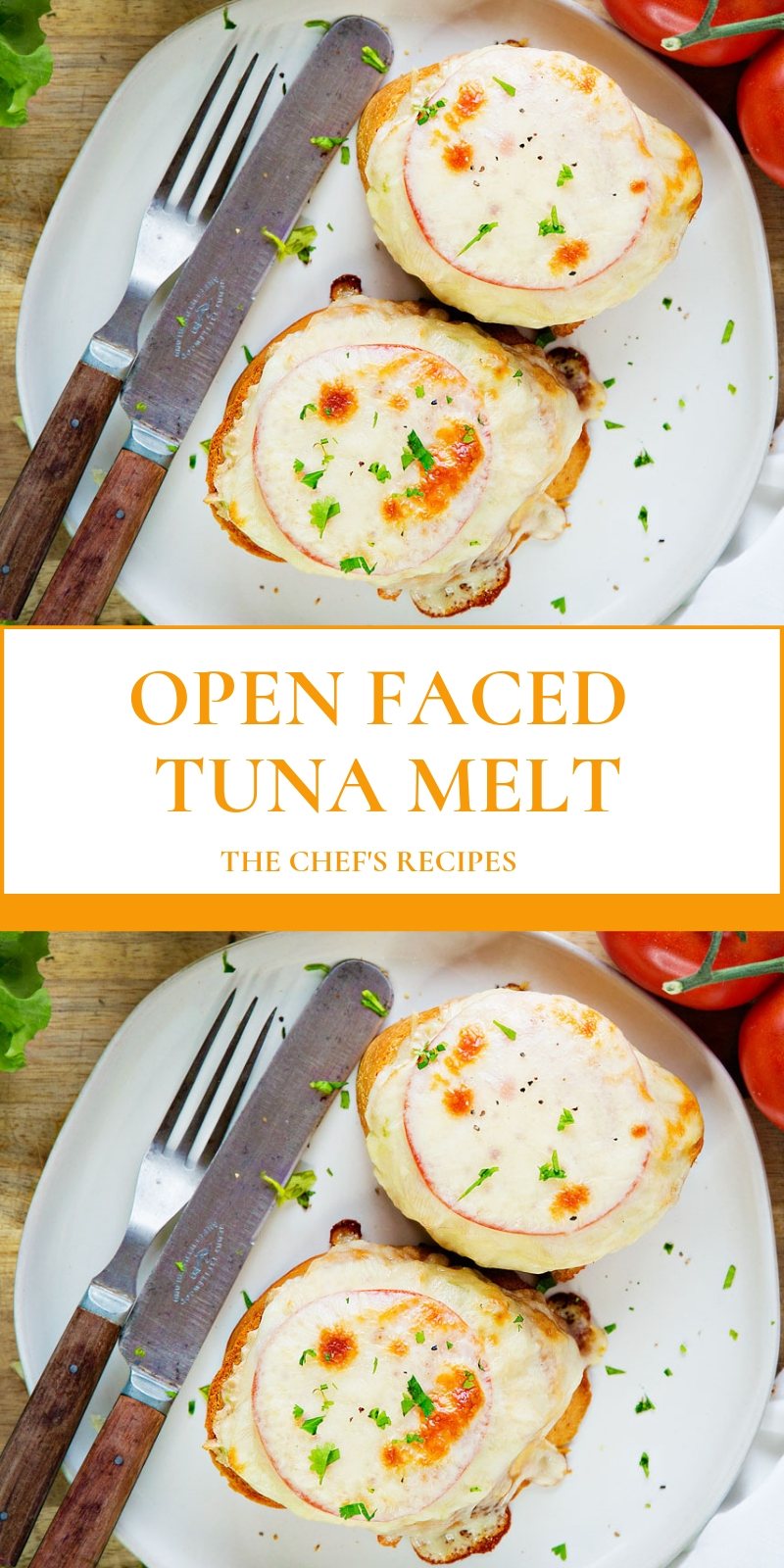 OPEN FACED TUNA MELT OPEN FACED TUNA MELT