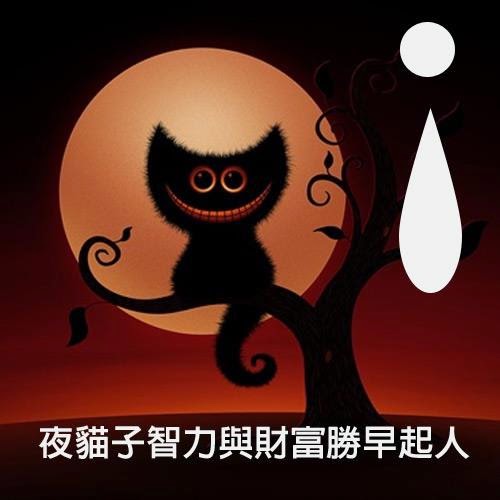 夜貓子智力與財富勝早起人