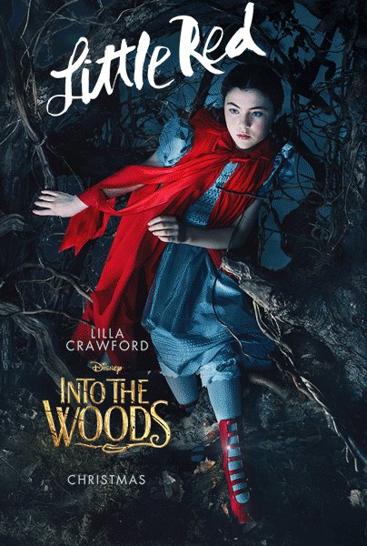 Poster 9: Into the Woods
