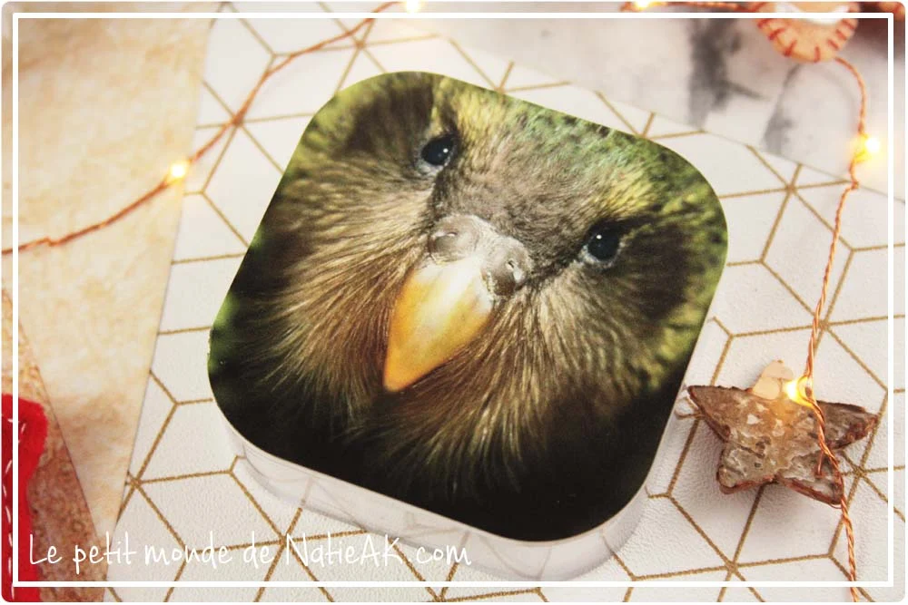 Boîte d'écouteur personnalisable Kakapo GoCustomized