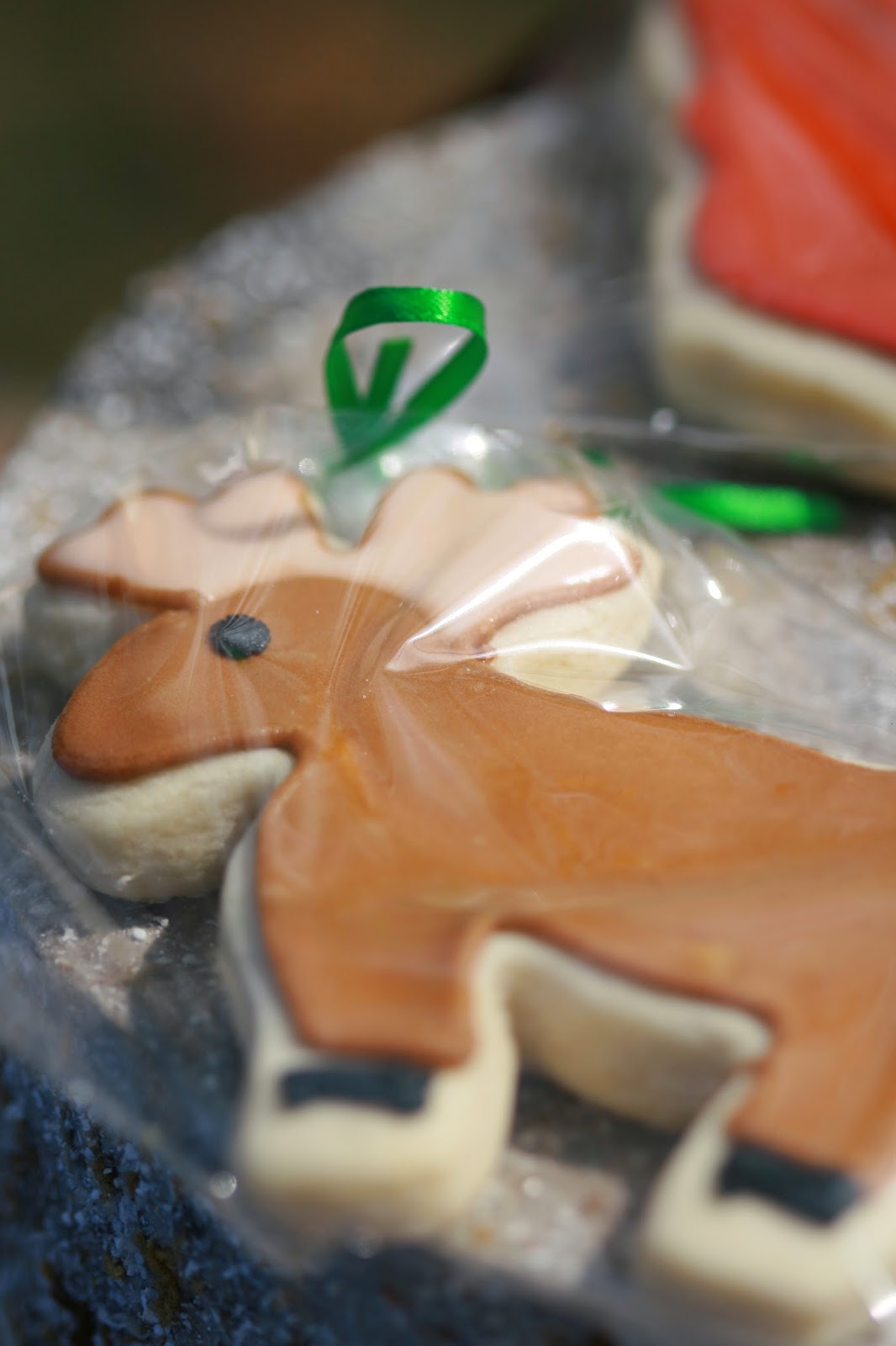 The Cone Zone Camp Asher Birthday Bash!