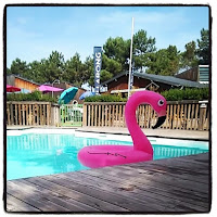 flamant rose gonflable dans la piscine