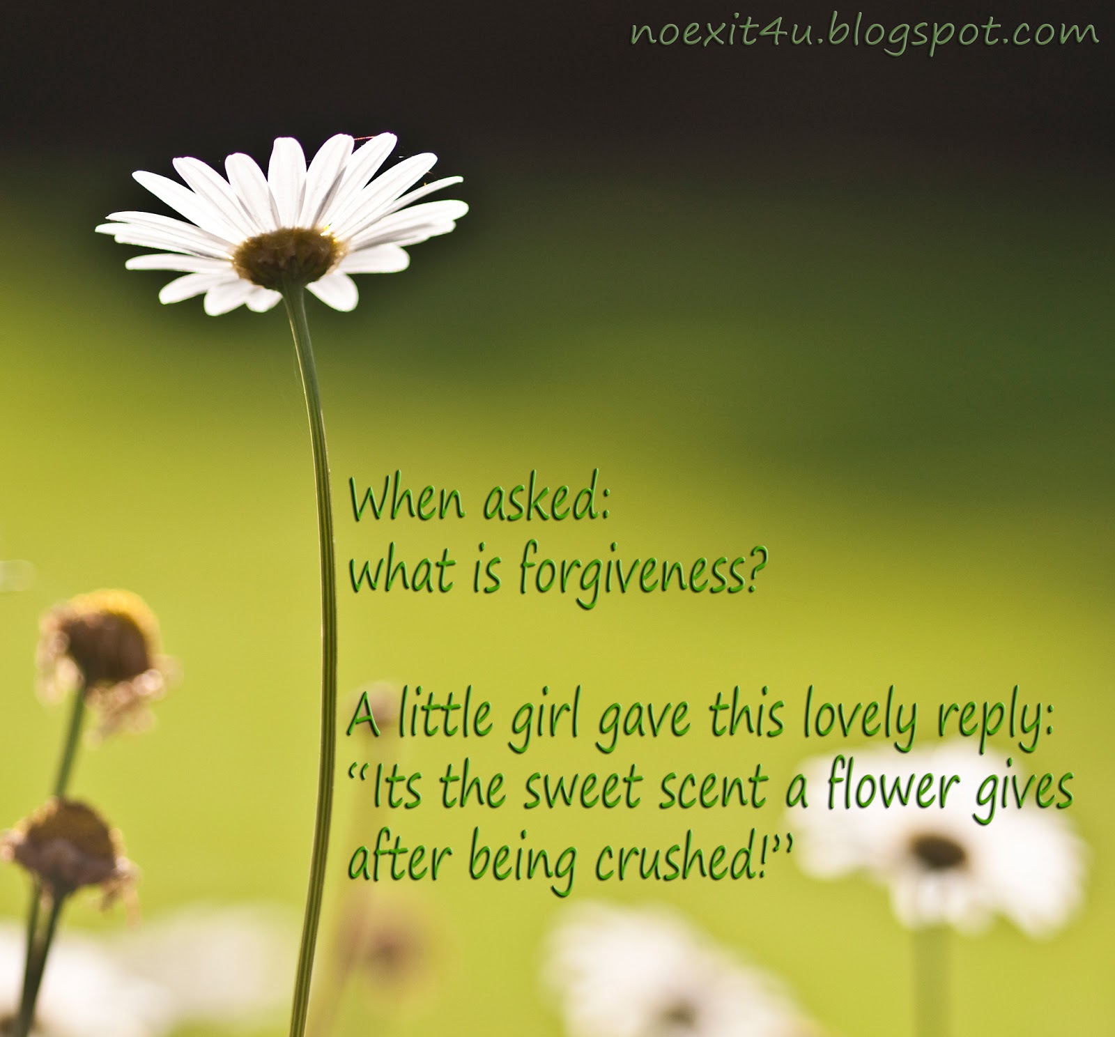 HD NATURE QUOTES WALLPAPER ~ noexit4u.com