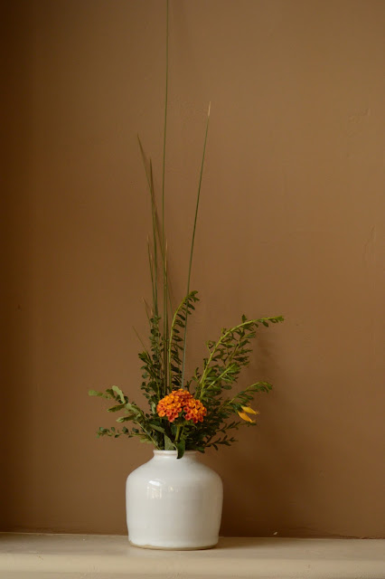 Monday vase meme, small sunny garden