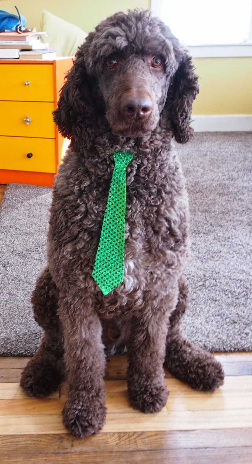 st patrick day ties