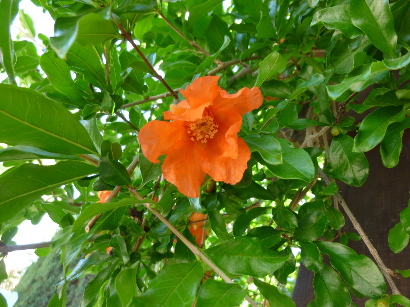 A Place to Share Yellow fairy lights