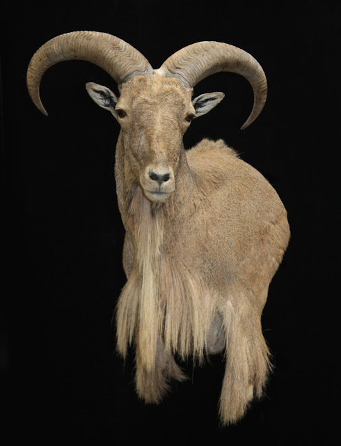 lsmithaoudad.jpg