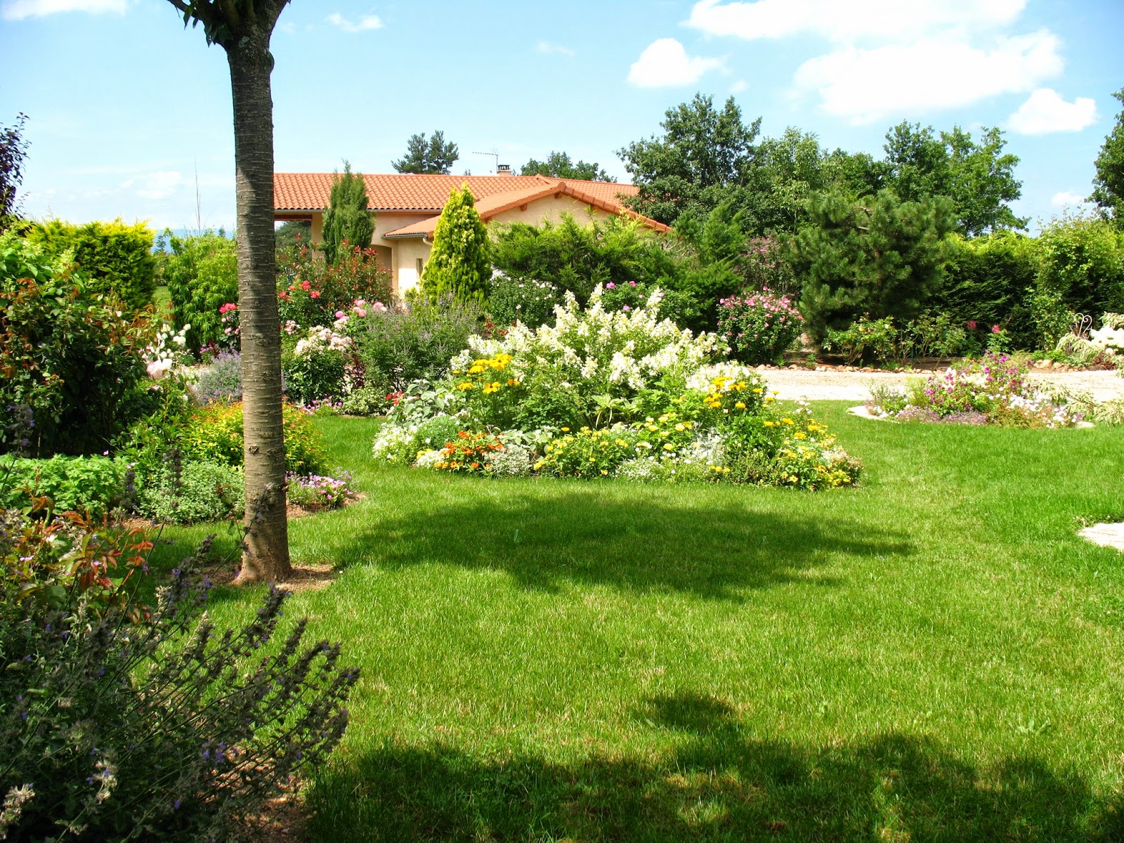 Roses du jardin Chêneland Concours "Maisons fleuries"...