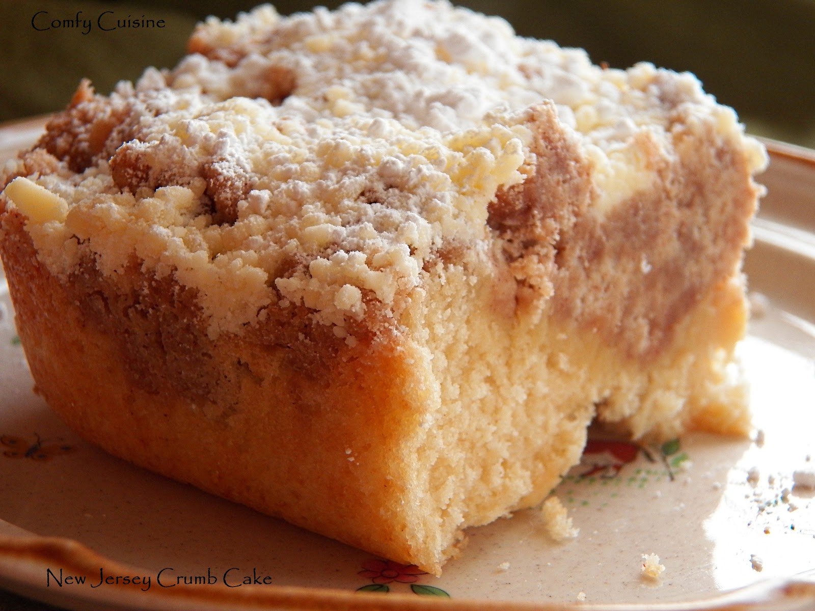 Comfy Cuisine Home Recipes from Family & Friends New Jersey Crumb Cake