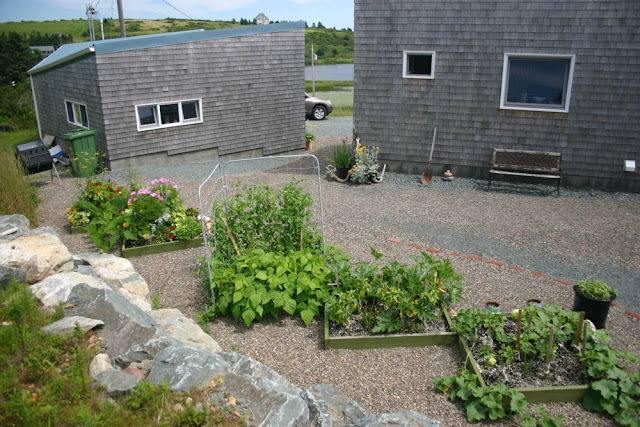 Four Square Gardening methods complimented with rock landscaping.