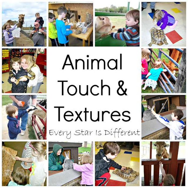 Zoo Scavenger Hunt: Animal Touch and Textures