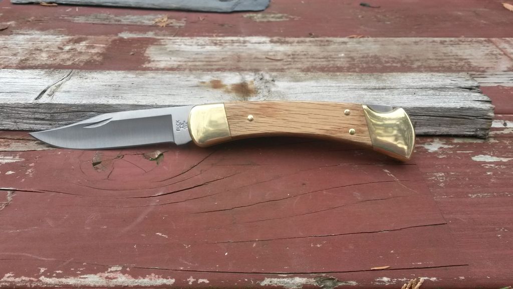 Buck5160%2B110_zpsdb9vk5mi.jpg