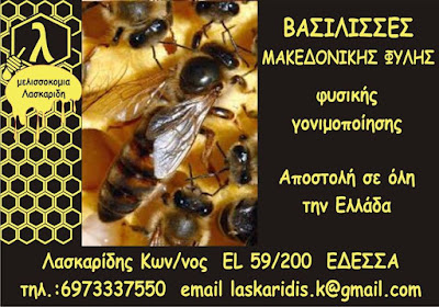 ΒΑΣΙΛΙΣΣΕΣ ΜΑΚΕΔΟΝΙΚΗΣ ΦΥΛΗΣ.