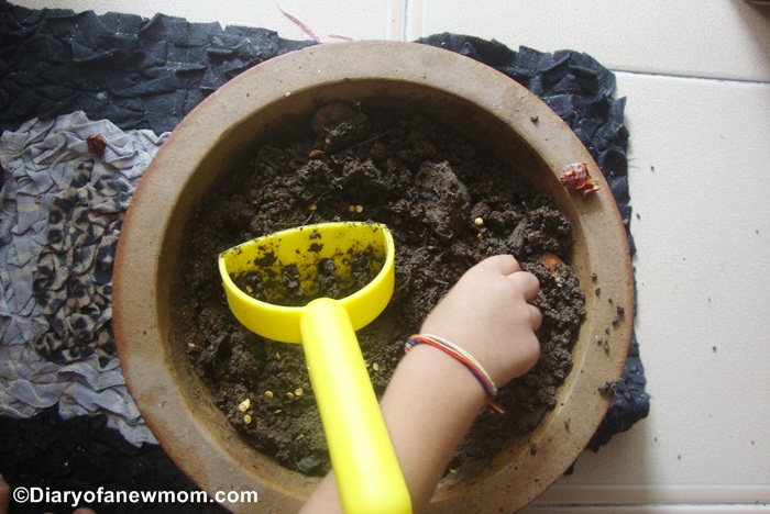 Planting seeds with toddlers - Our experience with planting chilli seeds