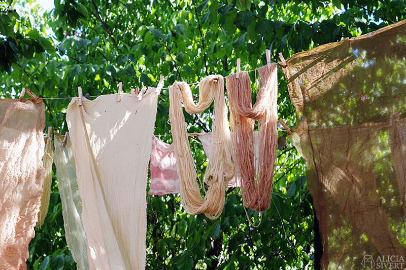 Workshop in natural plant dyeing, photo by Alicia Sivertsson. aliciasivert alicia sivert alicia sivertsson art lab gnesta lina sofia lundin växtfärgning naturlig färgning färga med växter skapa skapande kreativitet textil textilt hantverk textilhantverk konst textilkonst kurs workshop