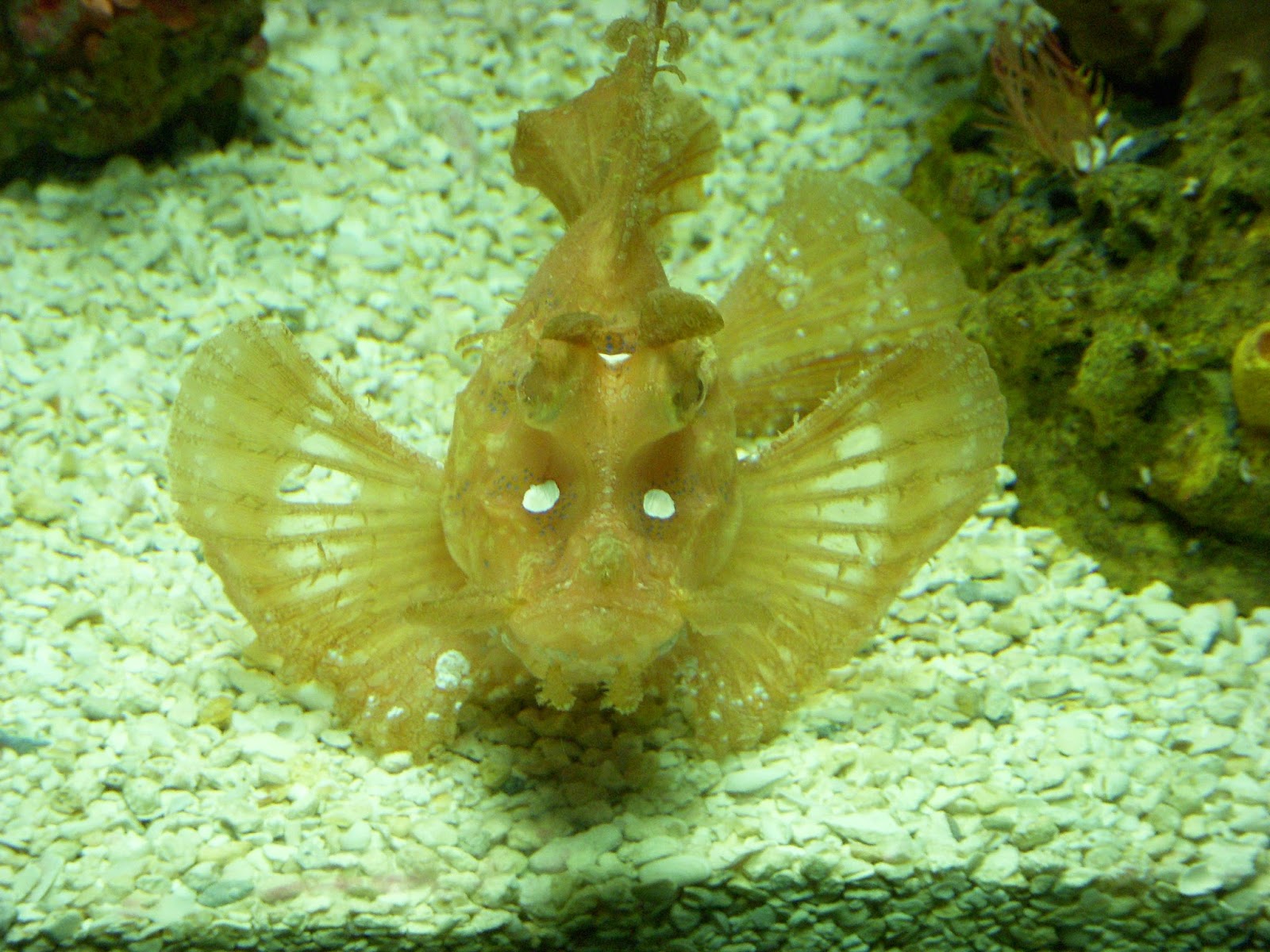 Raptormaniacs National Aquarium in Baltimore