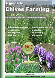 chives farming in Kenya pdf