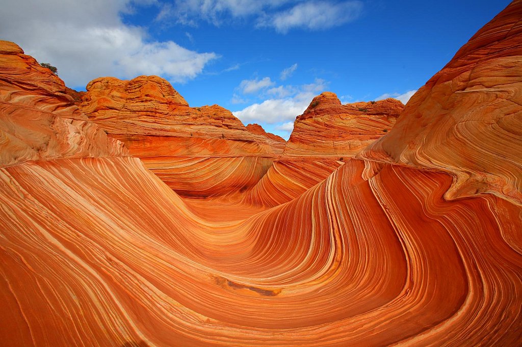 The_Wave_Coyote_Buttes_Arizona1.jpg