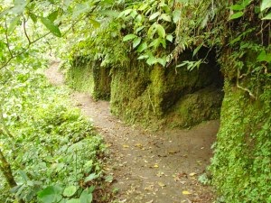 Berwisata Keluarga Wisata Jepang Di Jogja Berwisata Keluarga Wisata Jepang Di Jogja