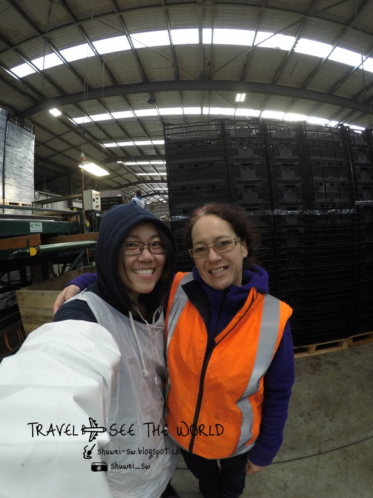 旅行上癮者，手帳中毒迷 紐西蘭打工度假 Rakaia Lily Bulb 花苞廠