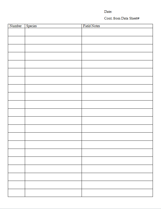 Questx birding field observation report birding basics data