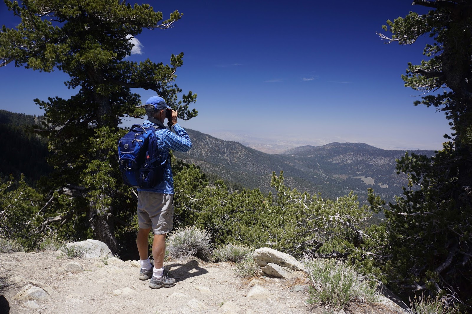 The Intrepid Tourist MOUNT PINOS, Southern California On Top of the World