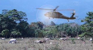 mutilaciones.jpg