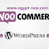 تم العثور على عجز WooCommerce ، سرقة معلومات ماستركارد تم العثور على عجز WooCommerce ، سرقة معلومات ماستركارد