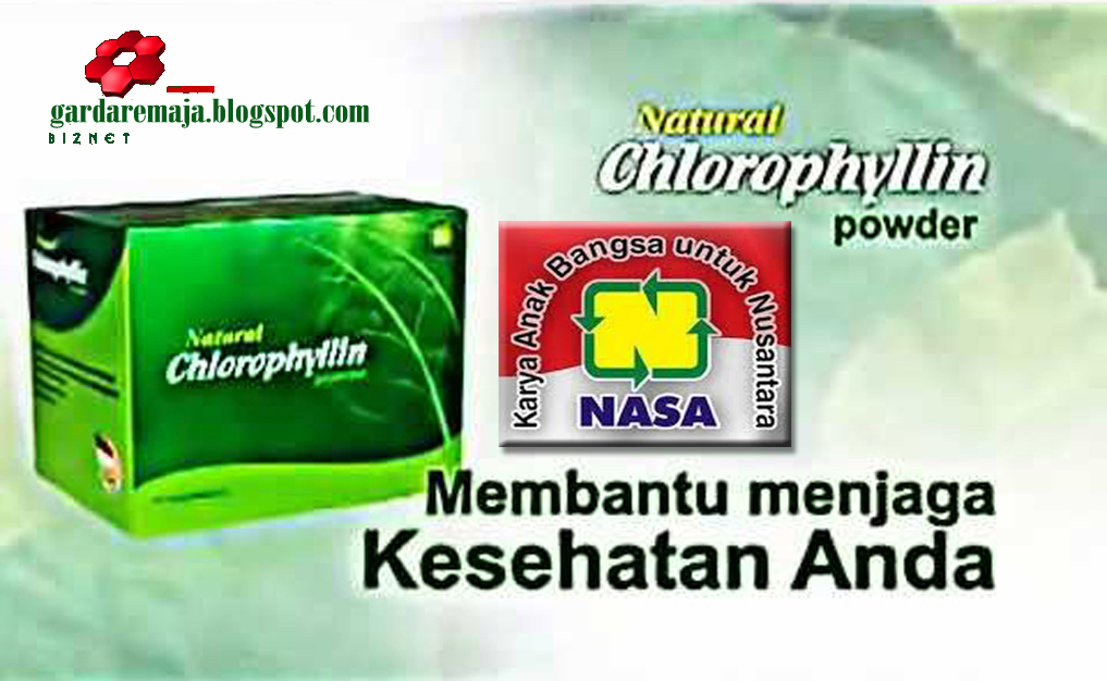 PEMBERSIH TOKSIN ALAMI NATURAL CHLOROPHYLLIN POWDER Garda Remaja