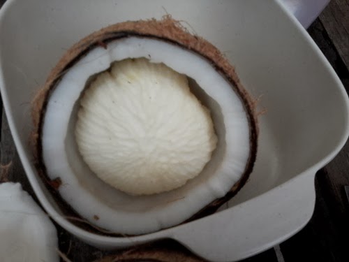 tombong kelapa, cerita kisah mama, sedap,makanan sedap masa dulu,