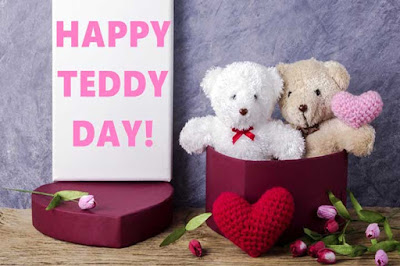 Teddy day wishes sms quotes images in hindi