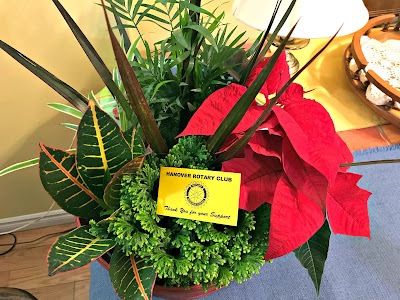 5 minutes of my day Enjoying our new plant