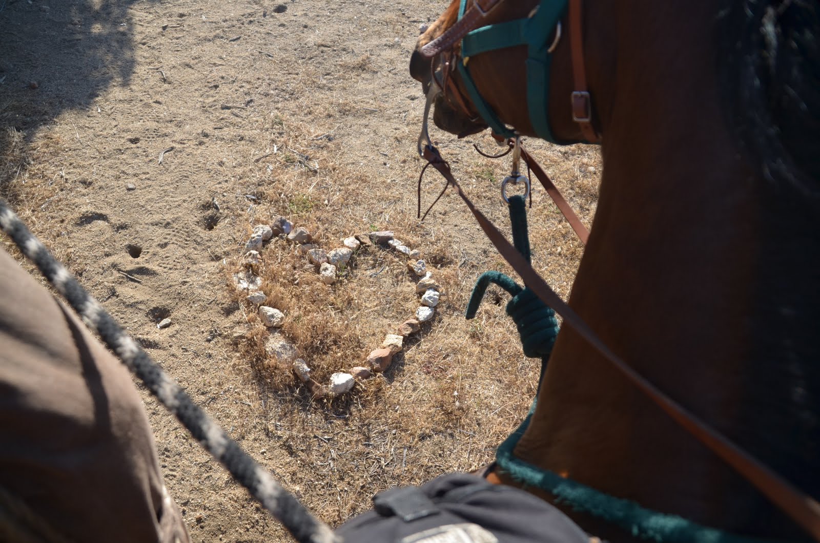 THE EQUINE NOMAD Rattlesnakes, Quicksand, and a Lame Horse